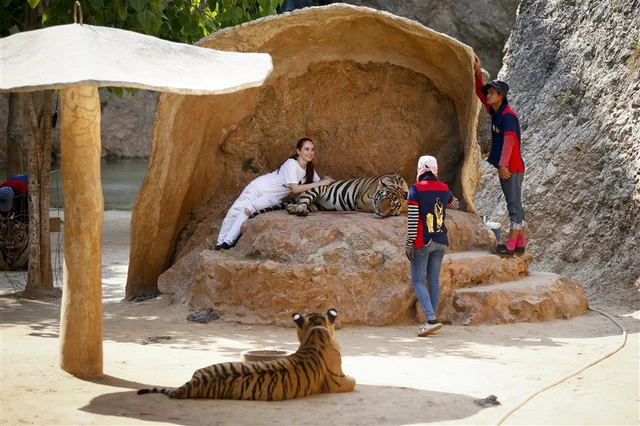 Tiger Temple