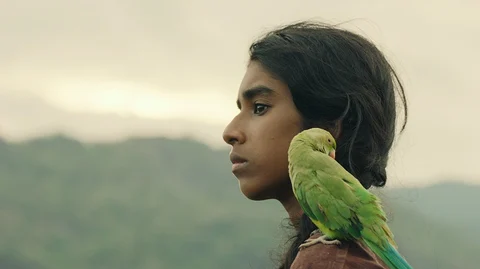 மாடத்தி