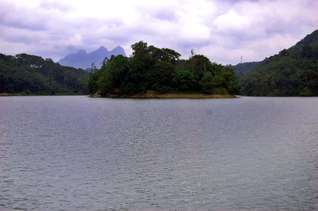 சிற்றாறு அணை வனப்பகுதி