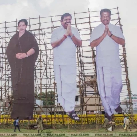 Political Cutouts