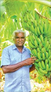 நாட்ராயன்