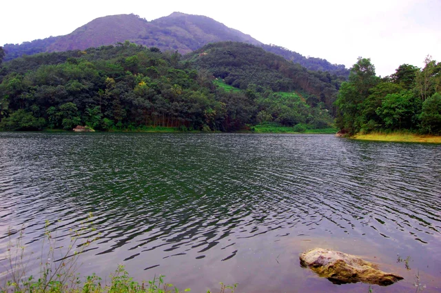 குன்னத்து மலை வனப்பகுதி