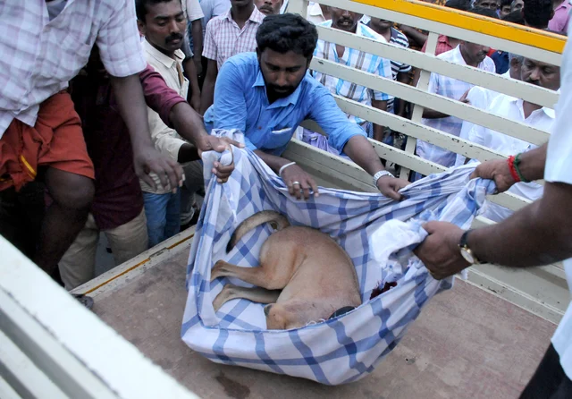 சுட்டுக்கொல்லப்பட்ட ரமேஷ்