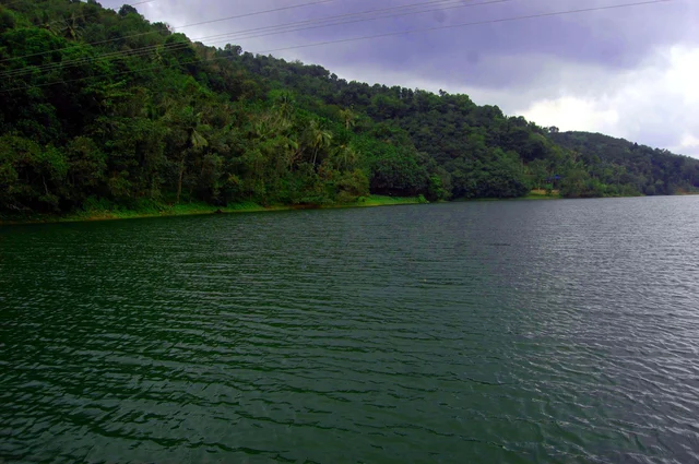 சிற்றாறு அணை வனப்பகுதி