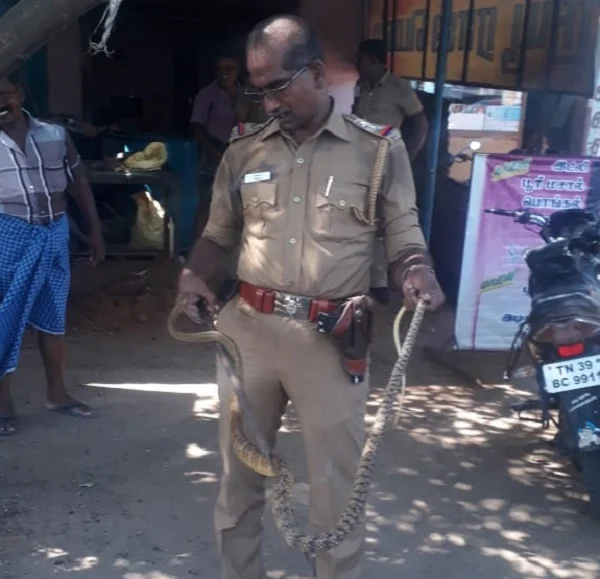 பாம்புடன் இன்ஸ்பெக்டர்