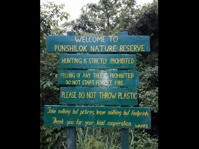 Punshilok