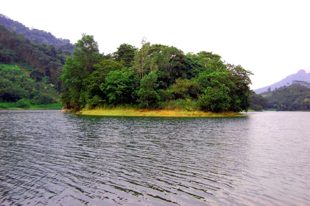 குன்னத்து மலை வனப்பகுதி