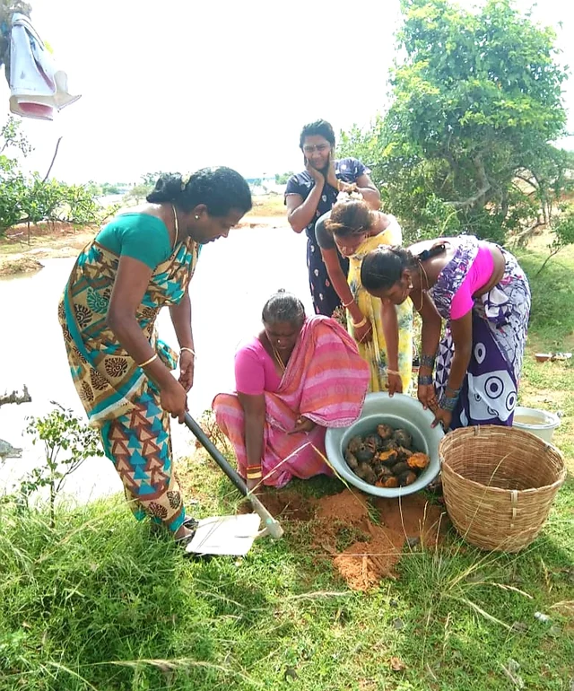 பனை விதைகளை நடவு செய்யும் திருநங்கைகள்