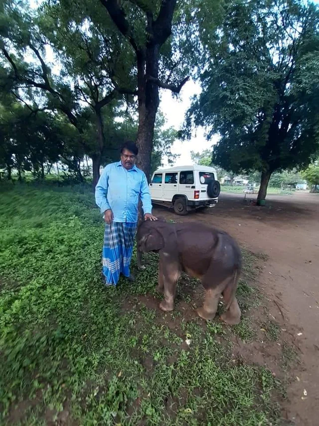 அசோகன்