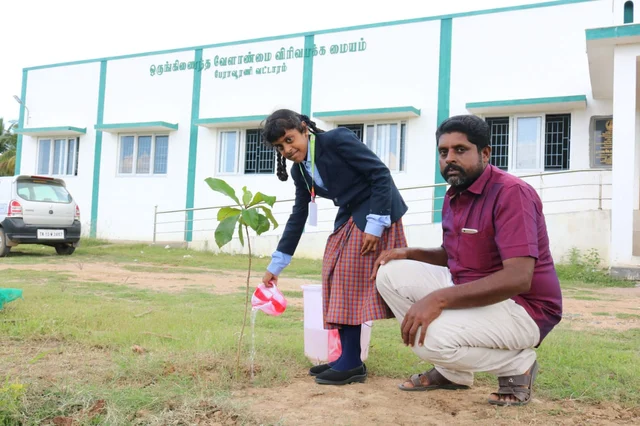 மரக்கன்றுக்கு தண்ணீர் ஊற்றும் மாணவி