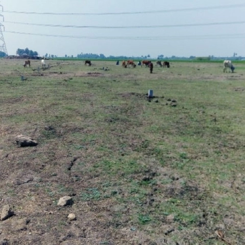 Land