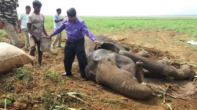 அசோகன்
