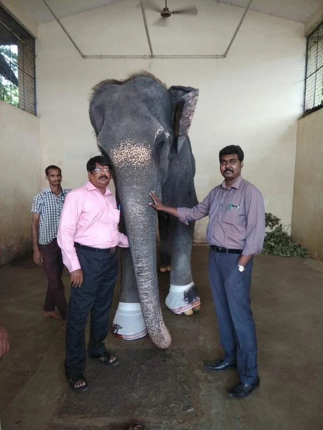 அசோகன்