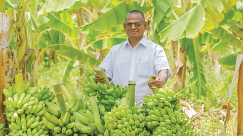 வாழைத்தார்களுடன் பிரதாபன்