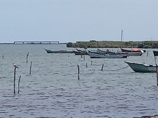 உப்பூர் அனல்மின் நிலைய கடல் பாலம்