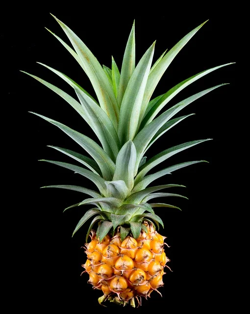 pineapple