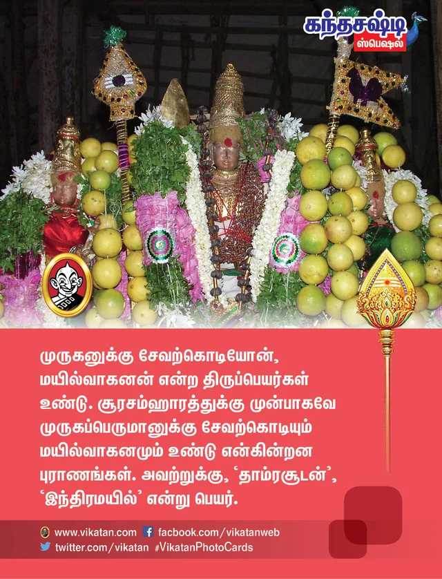 கந்தசஷ்டி ஸ்பெஷல்