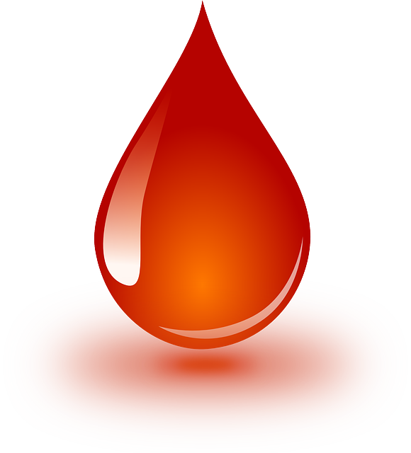 Blood