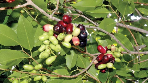 நீங்கள் கேட்டவை