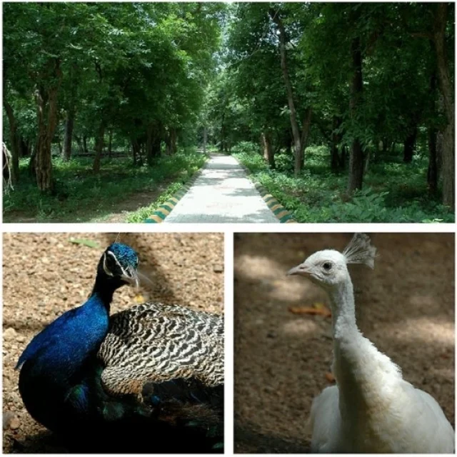 அமிர்தி வன உயிரியல் பூங்கா