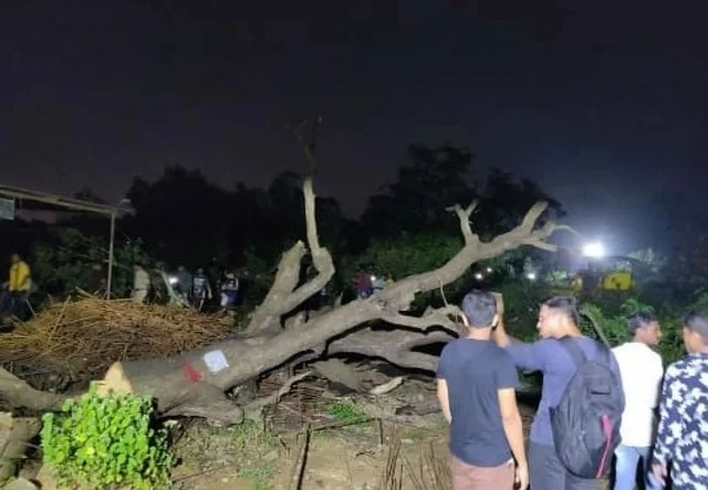 Aarey colony