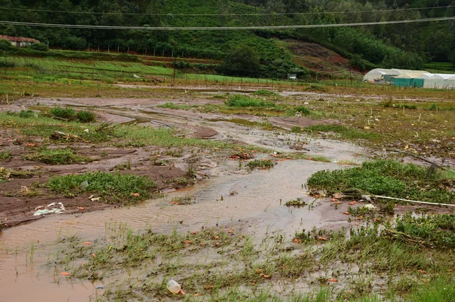 top soil erosion