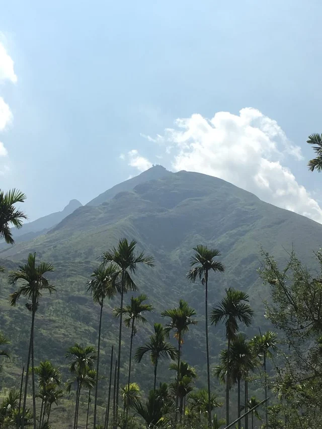 Kurangani Hill
