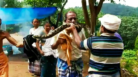 கழுத்தில் சுற்றிய மலைப் பாம்பு