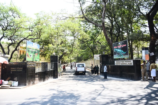 டைனோசர்