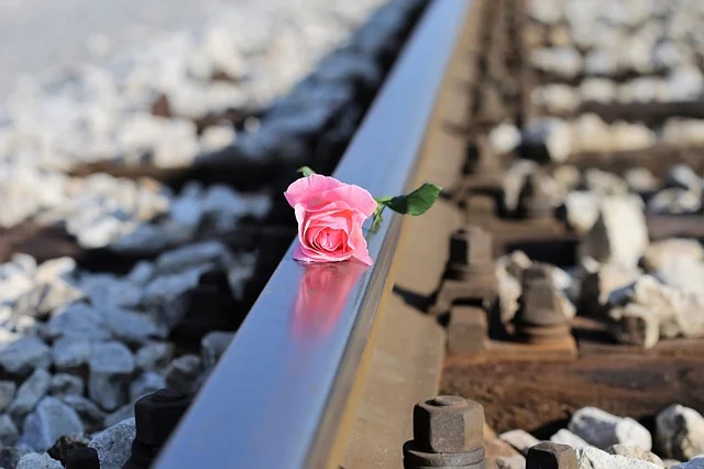 suicide
