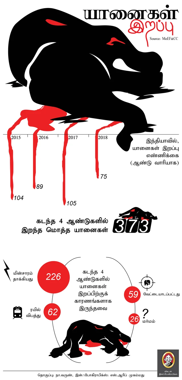 யானைகள் இறப்பு
