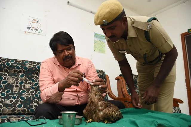 டாக்டர் அசோகன்