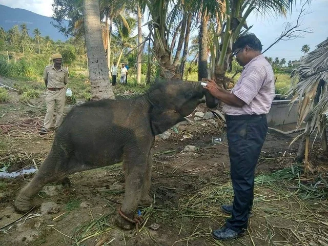 அசோகன்