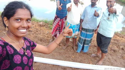 குறிஞ்சி மலர்