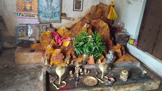 வீட்டிற்குள் புற்று