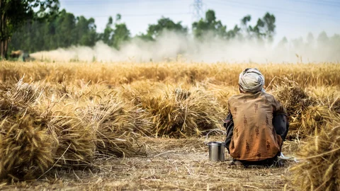 #WorldFoodDay