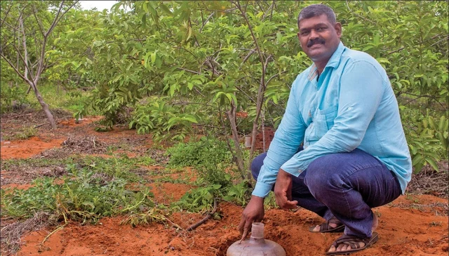 பாசனம்