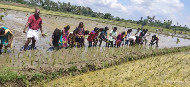 நடவு நடும் மாணவர்கள்