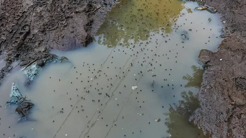 கழிவு நீர்