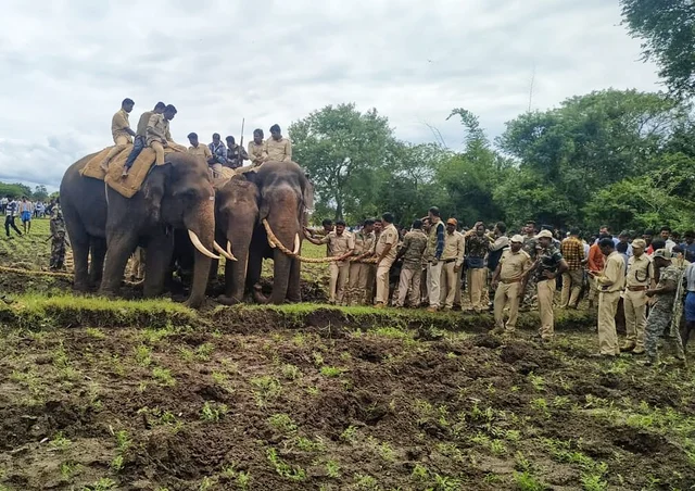 crowbar elephant