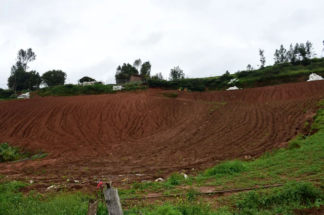 top soil erosion