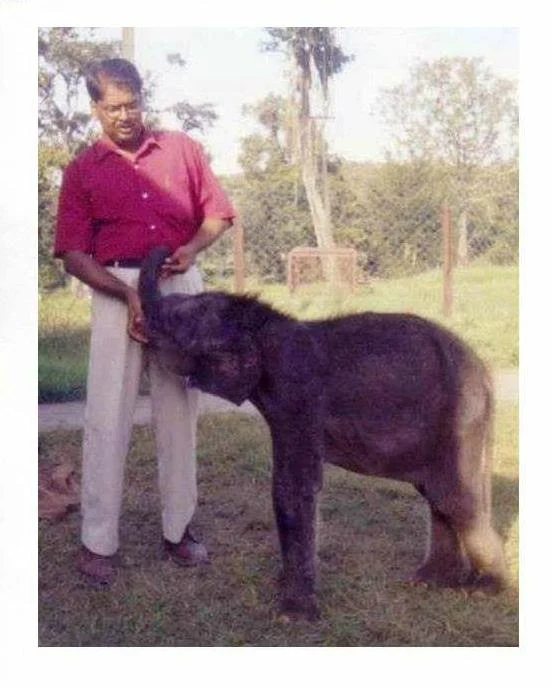 அசோகன்