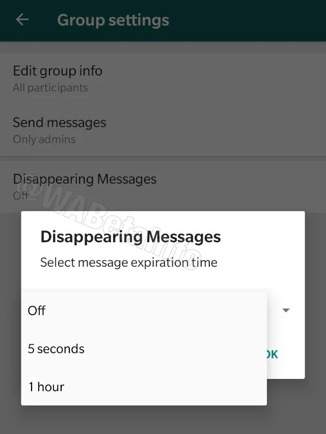 Self Destructing Message
