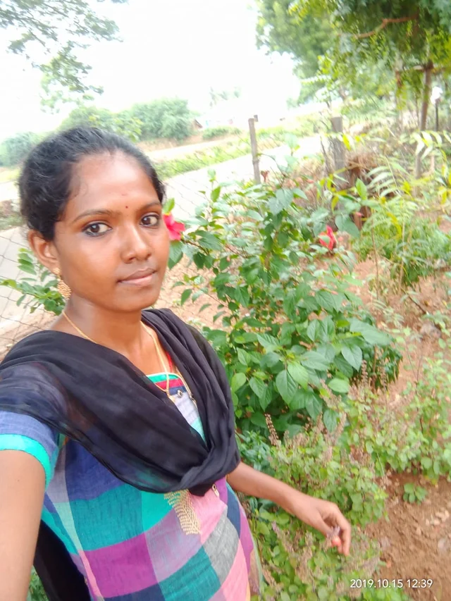 குறிஞ்சி மலர்