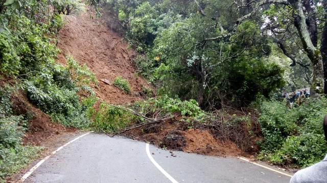 Nilgiri heavy rain