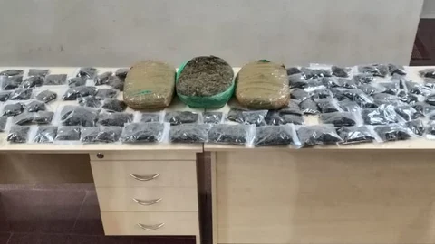 சென்னையில் சிக்கிய கஞ்சா