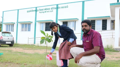மரக்கன்றுக்கு தண்ணீர் ஊற்றும் மாணவி