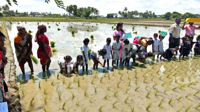 மாணவர்கள்