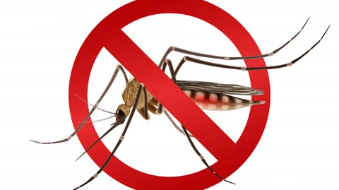 Dengue