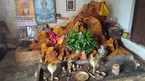 வீட்டிற்குள் புற்று